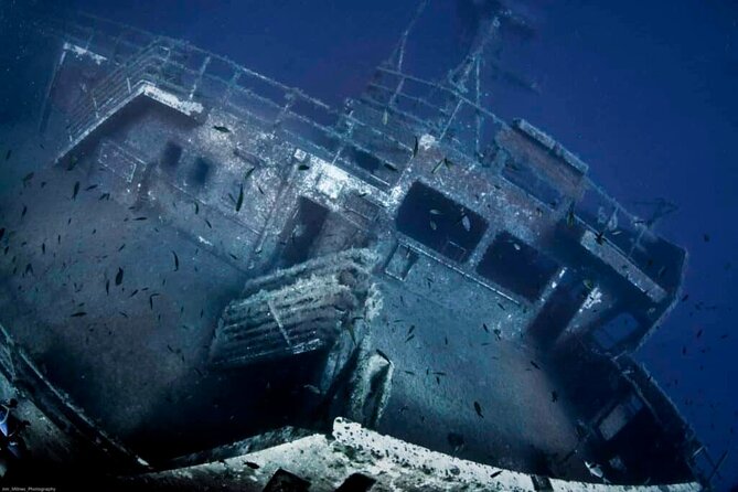 Zenobia Shipwreck Scuba Diving Trip 2x Dives - Who should book this Zenobia trip